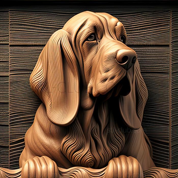 st Bloodhound dog